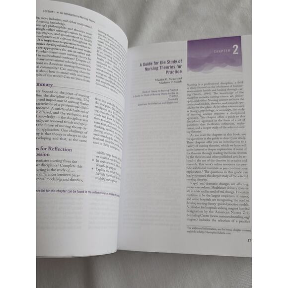 Nursing Theories and Nursing Practice by Marlaine C. Smith (2019 Paperback) - Picture 10 of 11